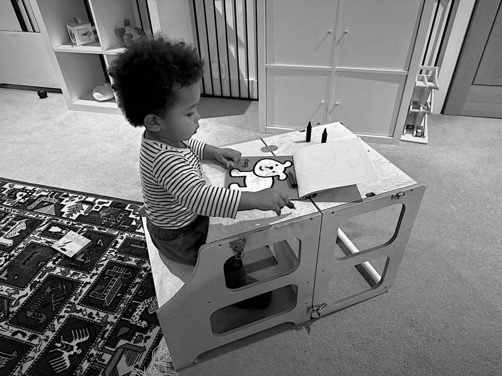 The Learner