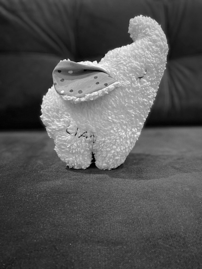 The elephant