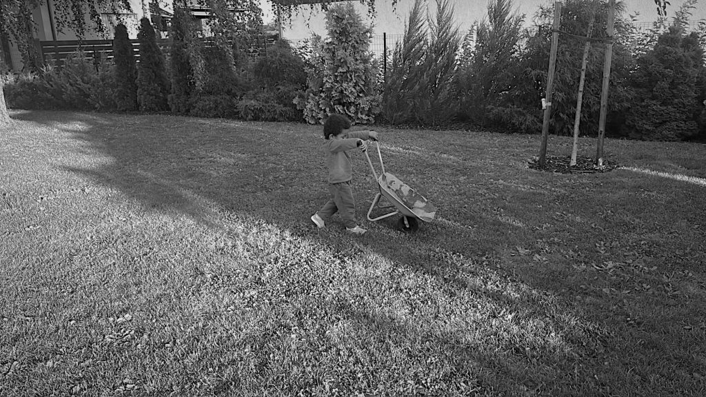 The wheelbarrow