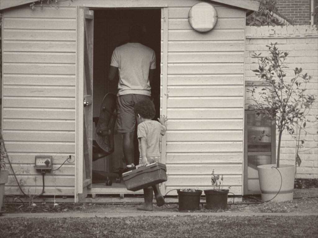 The shed